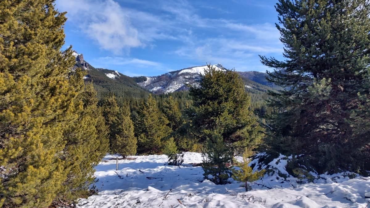 Foto de LOTE EN VENTA VILLA LAGO MELIQUINA - SAN MARTIN DE LOS ANDES, imagen 3