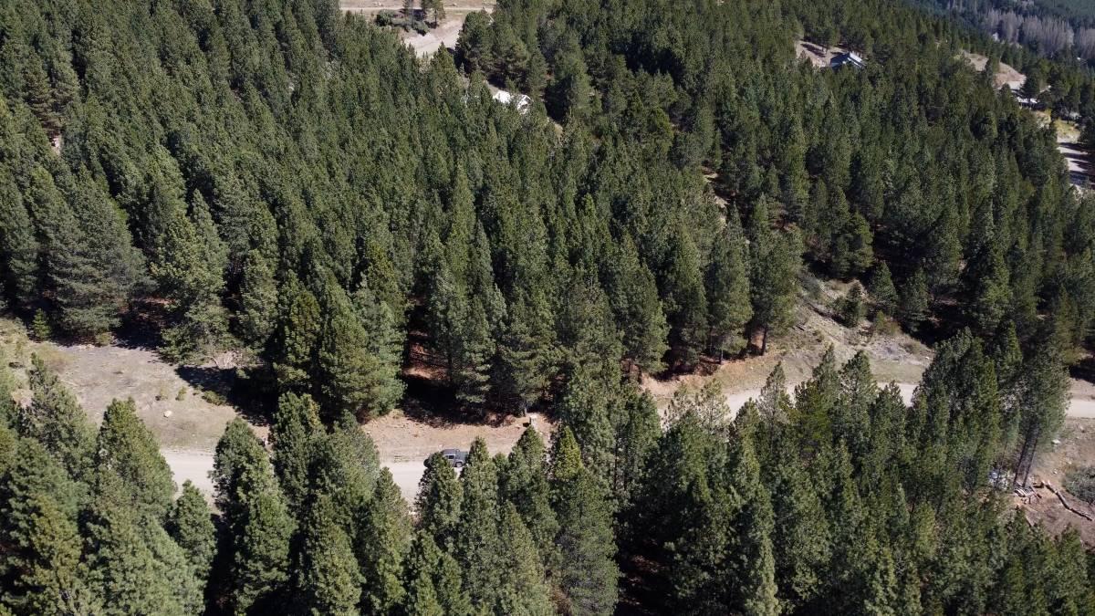 Foto de VENTA LOTE EN EL DESAFIO SAN MARTIN DE LOS ANDES, imagen 3