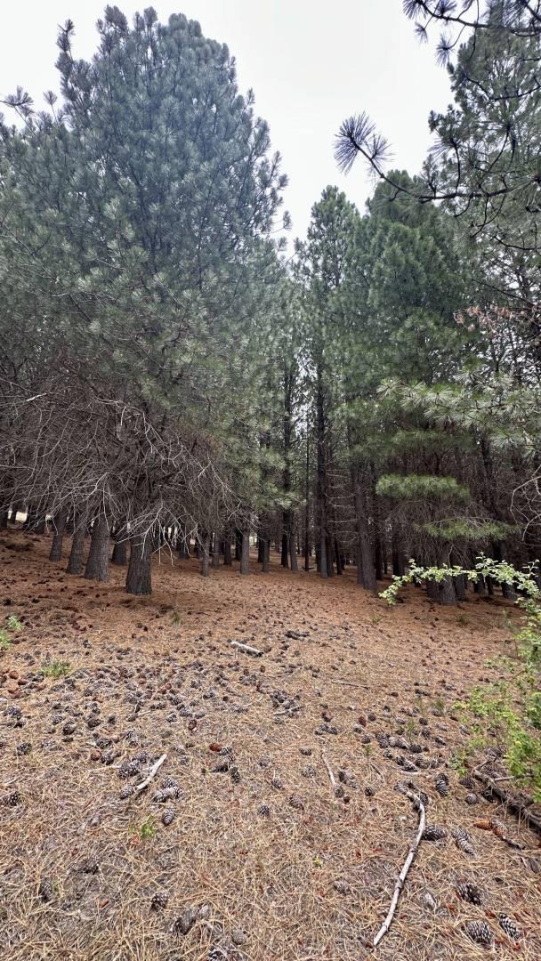 Foto de LOTE EN VENTA EN BARRIO EL DESAFIO SAN MARTIN DE LOS ANDES, imagen 3
