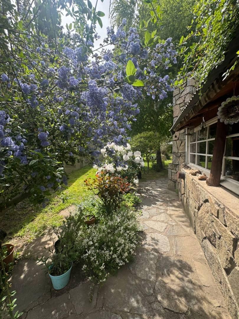 Foto de VENTA TERRENO SAN MARTIN DE LOS ANDES . CASCO CENTRICO, imagen 2