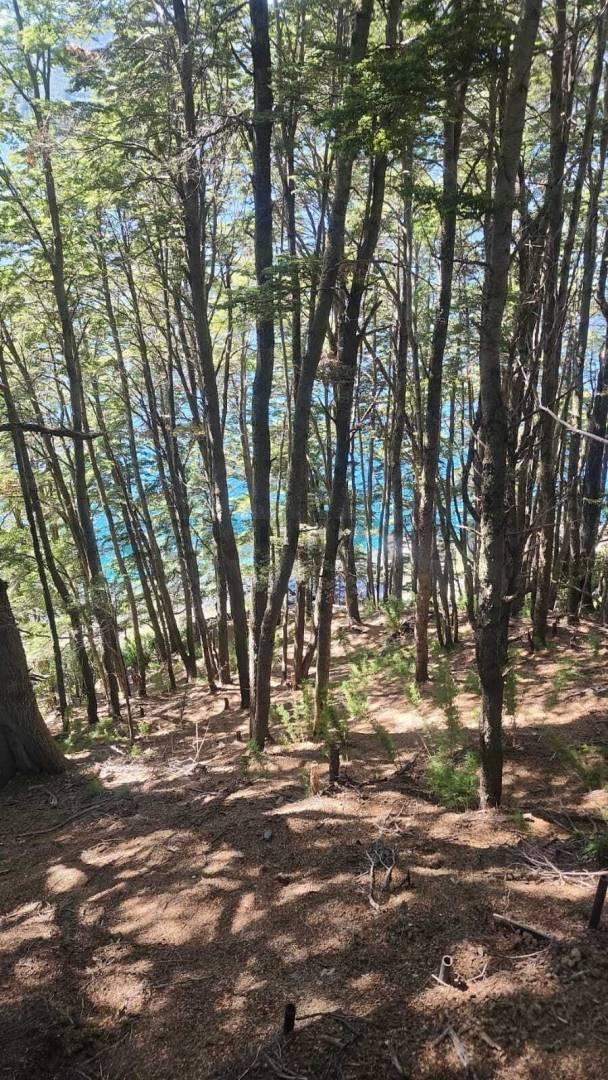 Foto de VENTA 3 CABAÑAS EN LAGO MOQUEHUE. NEUQUEN, imagen 5