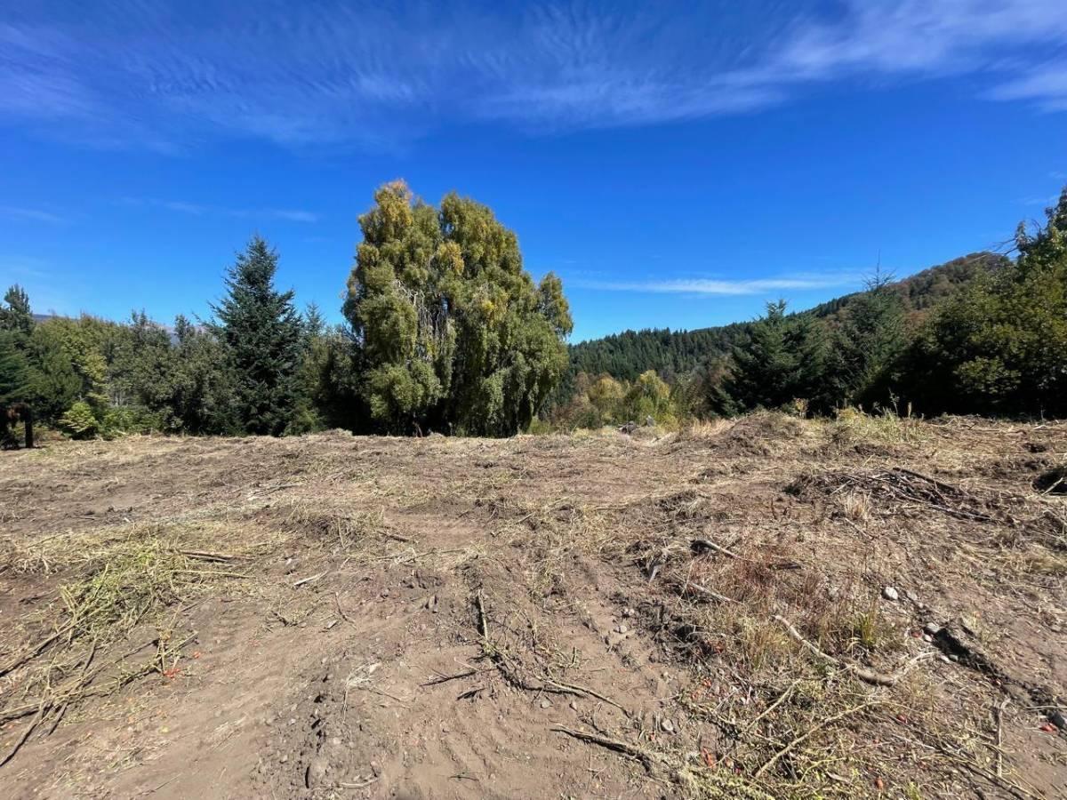 Foto de VENTA TERRENO SAN MARTIN DE LOS ANDES . LOS MAITENES, imagen 1