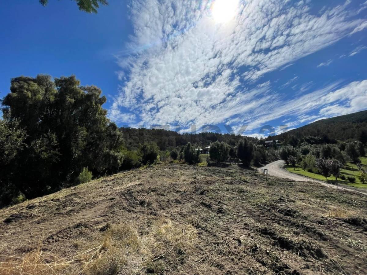 Foto de VENTA TERRENO SAN MARTIN DE LOS ANDES . LOS MAITENES, imagen 2