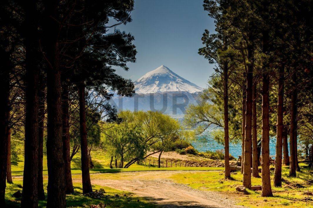 Foto de VENTA TERRENO LAGO HUECHULAFQUEN, SAN MARTIN DE LOS ANDES. LOTEO, imagen 5
