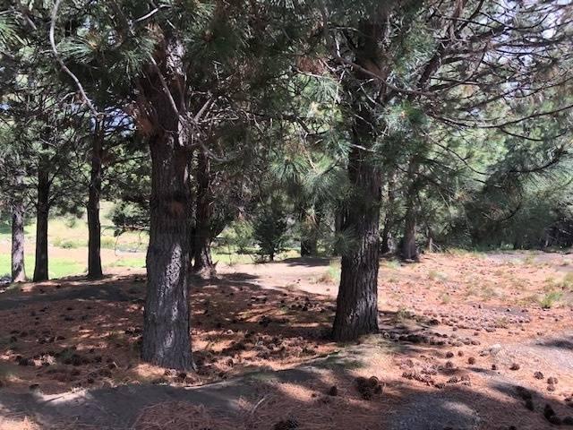 Foto de VENTA TERRENO LAGO HUECHULAFQUEN, SAN MARTIN DE LOS ANDES. LOTEO, imagen 2