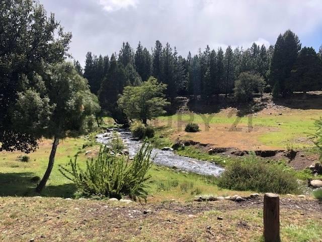 Foto de VENTA TERRENO LAGO HUECHULAFQUEN, SAN MARTIN DE LOS ANDES. LOTEO, imagen 3