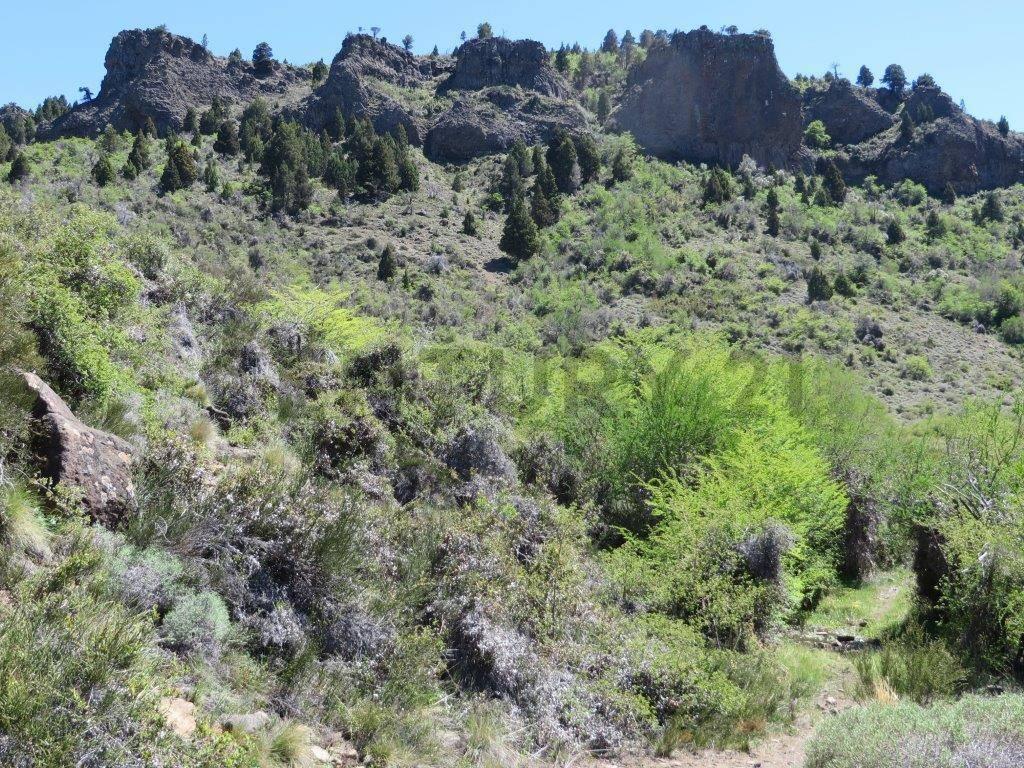 Foto de VENTA CAMPO CORDILLERA EN ALUMINE, PATAGONIA, imagen 1