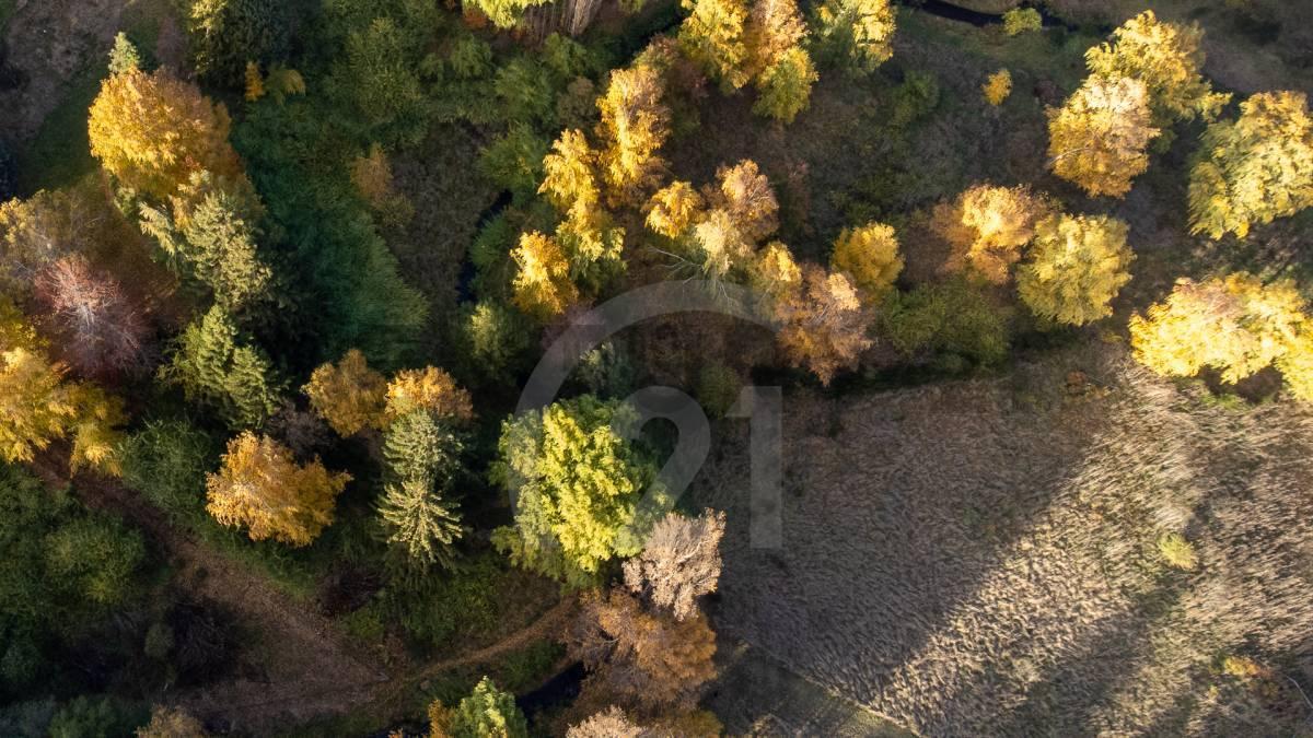 Foto de VENTA 2 HECTAREAS SAN MARTIN DE LOS ANDES. BARRIO RUCA HUE, imagen 4