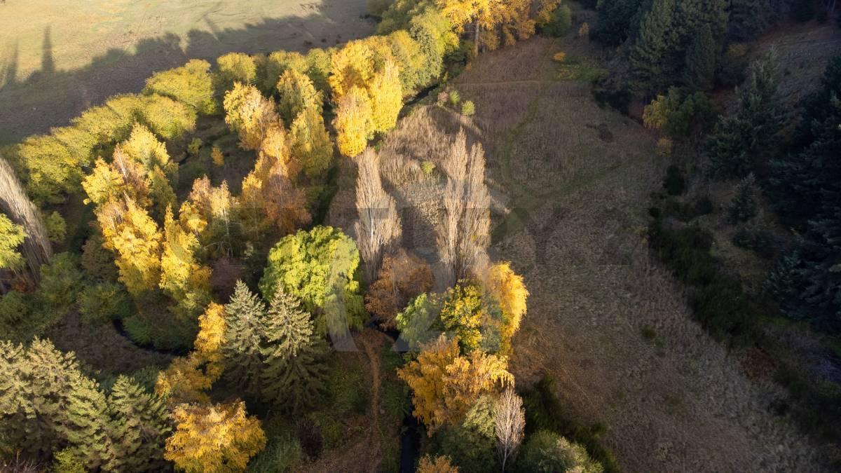 Foto de VENTA 2 HECTAREAS SAN MARTIN DE LOS ANDES. BARRIO RUCA HUE, imagen 2