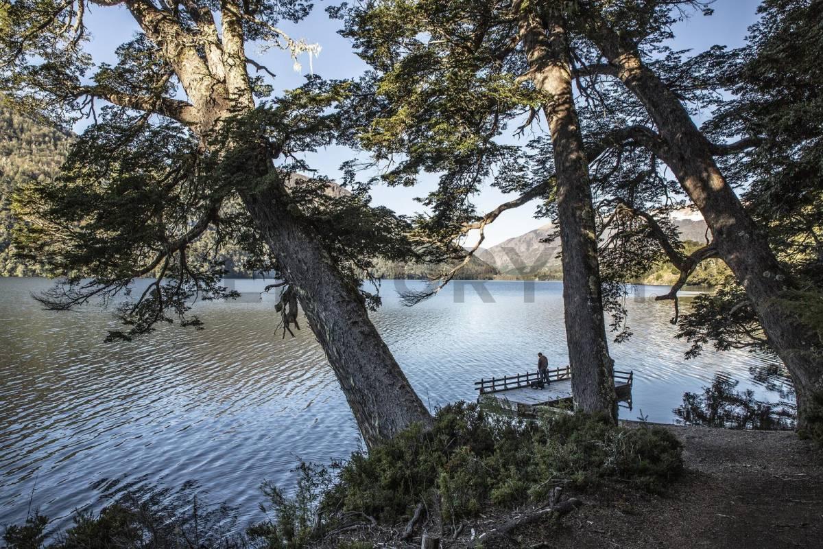 Foto de VENTA CAMPO LAGO HERMOSO. ( RUTA 7 LAGOS) PATAGONIA, imagen 5