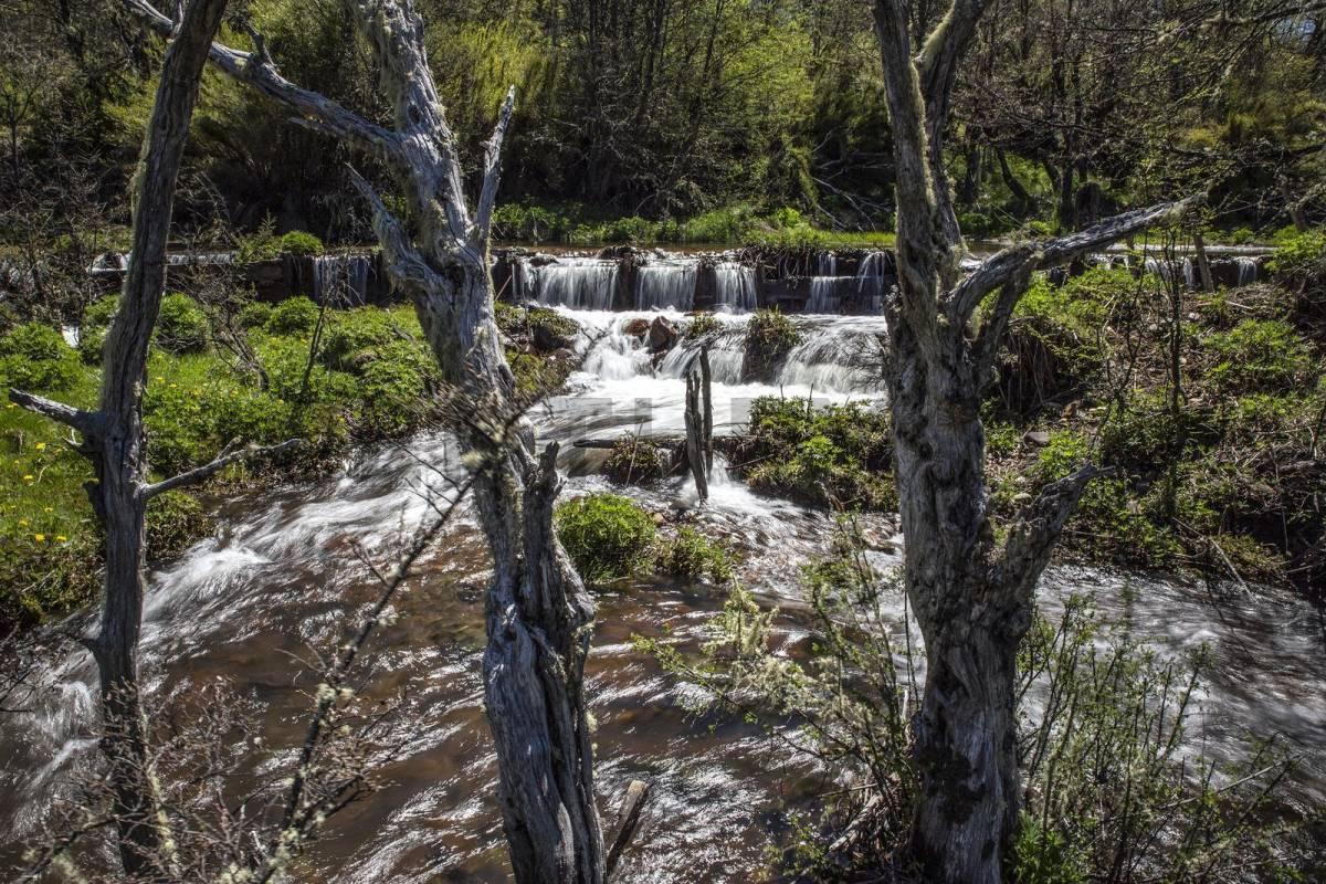 Foto de VENTA CAMPO LAGO HERMOSO. ( RUTA 7 LAGOS) PATAGONIA, imagen 1