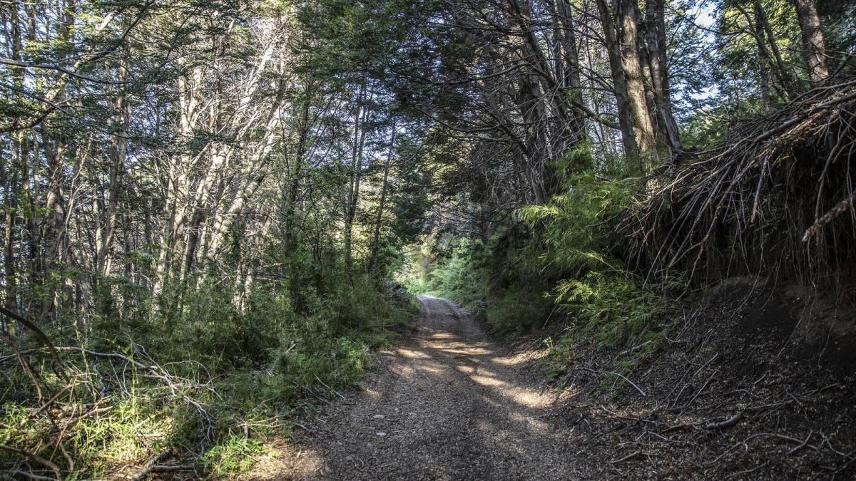 Foto de VENTA CAMPO LAGO HERMOSO. ( RUTA 7 LAGOS) PATAGONIA, imagen 4