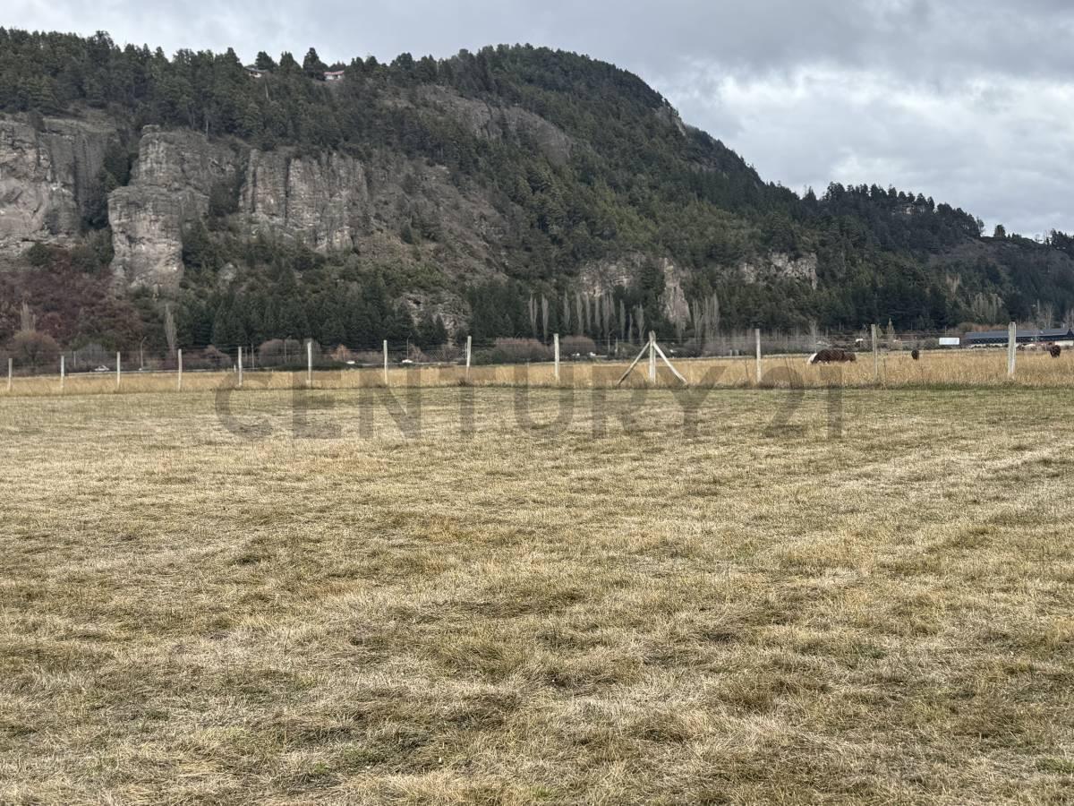 Foto de VENTA TERRENO SAN MARTIN DE LOS ANDES. CALLEJON DE BELLO, imagen 4