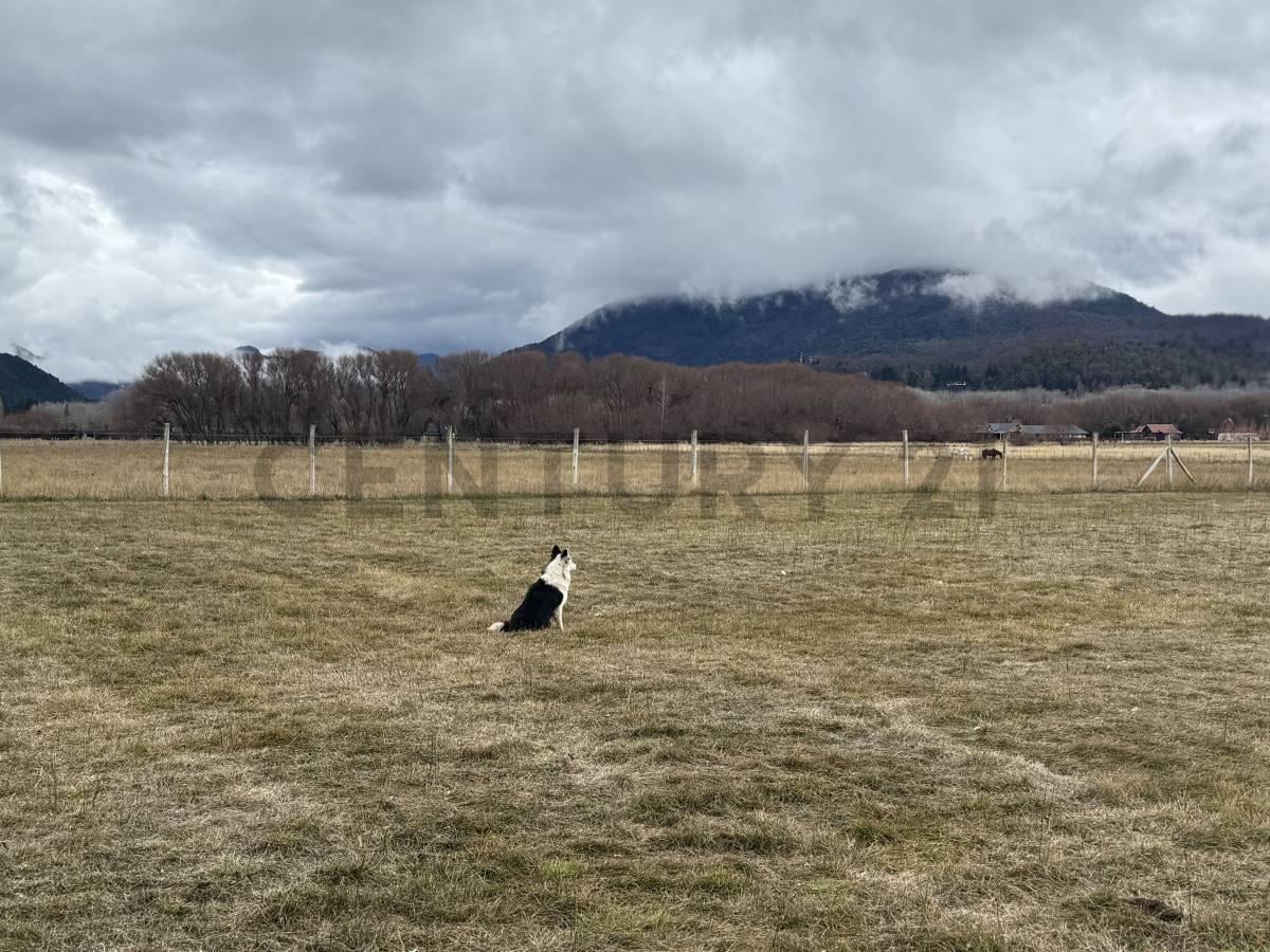 Foto de VENTA TERRENO SAN MARTIN DE LOS ANDES. CALLEJON DE BELLO, imagen 5