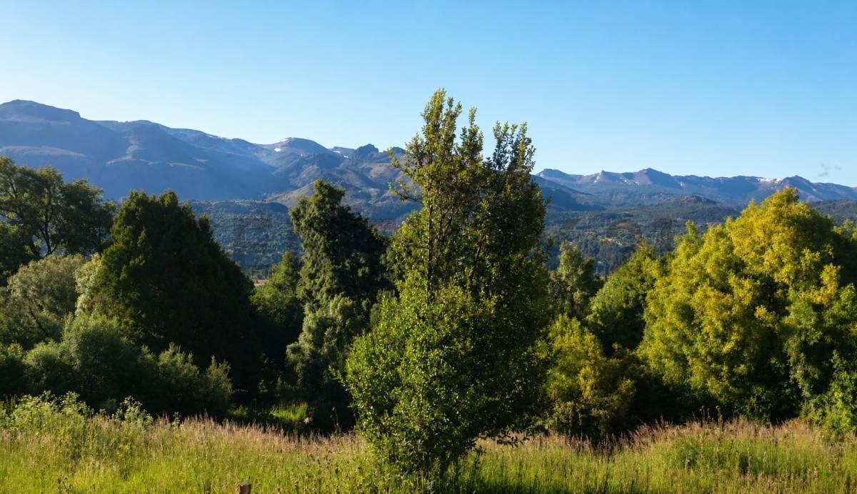 Foto de Lote en Venta | 1.548 m² | Terrazas de Bella Vista | San Martín de los, imagen 2