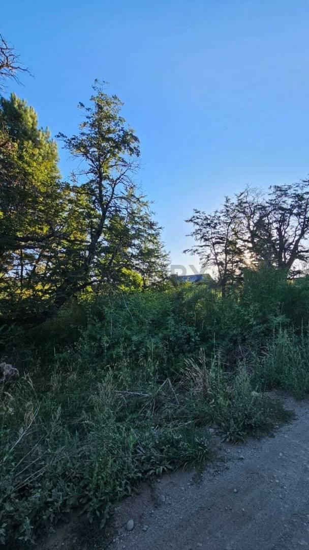 Foto de VENTA TERRENO SAN MARTIN DE LOS ANDES. KALEUCHE BAJO, imagen 5