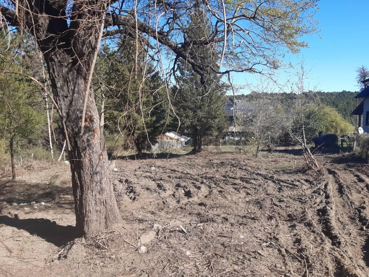 Foto de VENTA TERRENO SAN MARTIN DE LOS ANDES. KALEUCHE BAJO, imagen 1