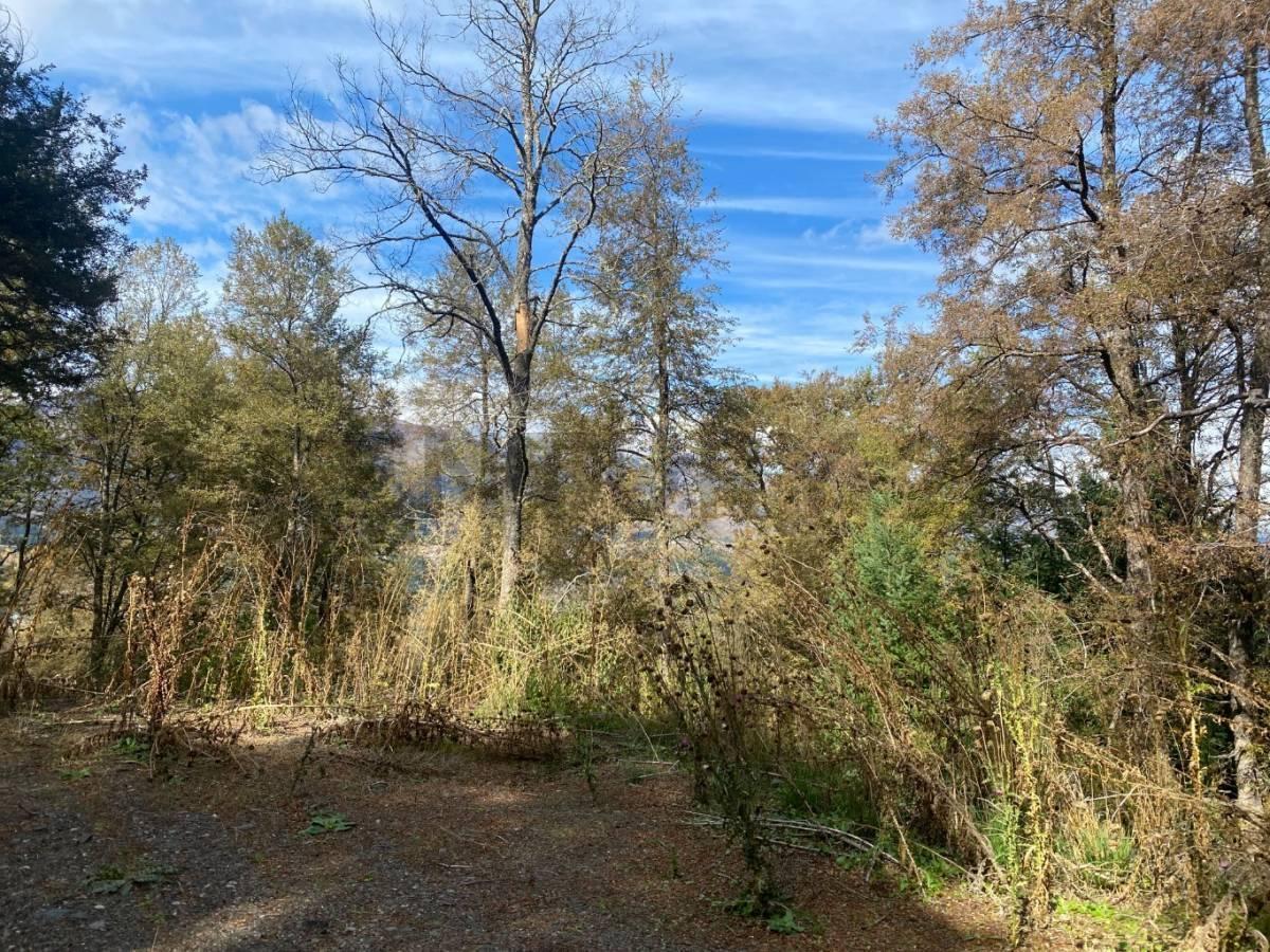 Foto de VENTA TERRENO SAN MARTIN DE LOS ANDES. BARRIO LAS VERTIENTES, imagen 1