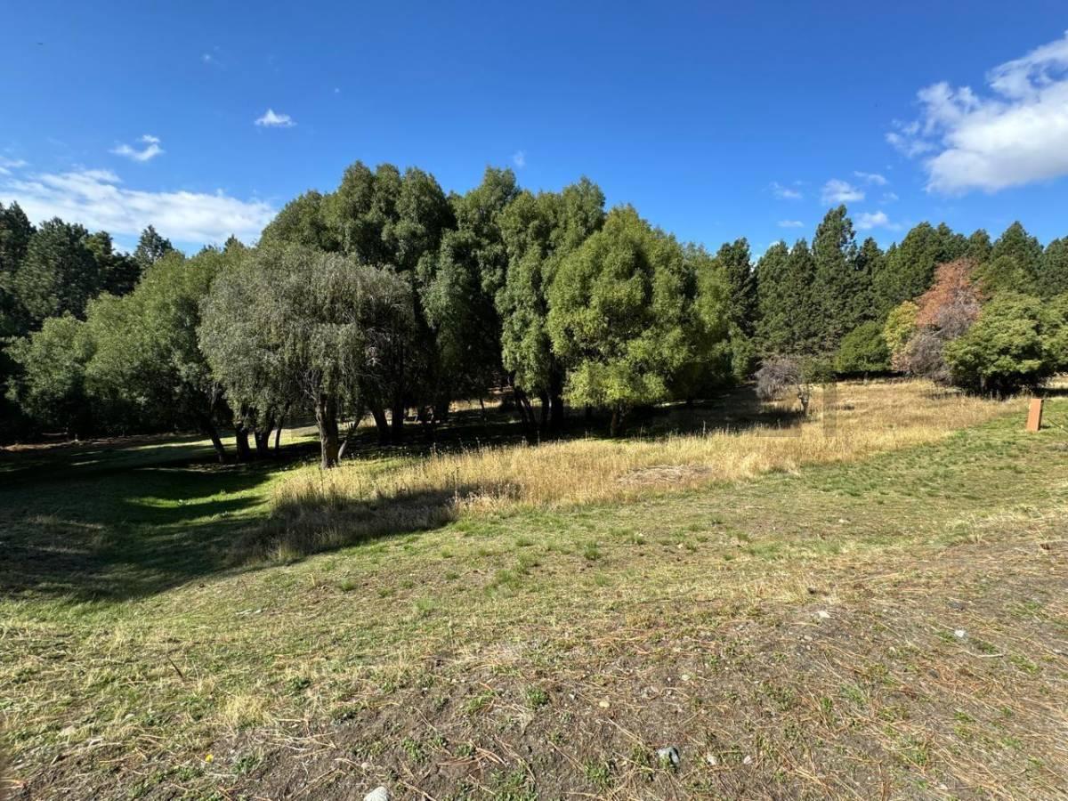 Foto de OPORTUNIDAD - VENTA LOTE BARRIO QUILLEHUE LAGO HUECHULAFQUEN SAN MARTIN, imagen 1