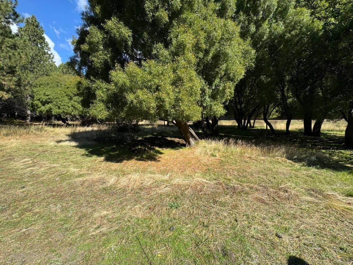 Foto de OPORTUNIDAD - VENTA LOTE BARRIO QUILLEHUE LAGO HUECHULAFQUEN SAN MARTIN, imagen 4