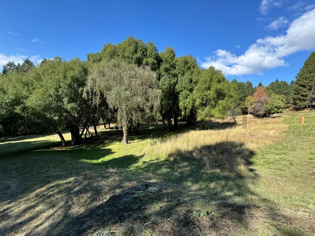 Foto de OPORTUNIDAD - VENTA LOTE BARRIO QUILLEHUE LAGO HUECHULAFQUEN SAN MARTIN, imagen 2