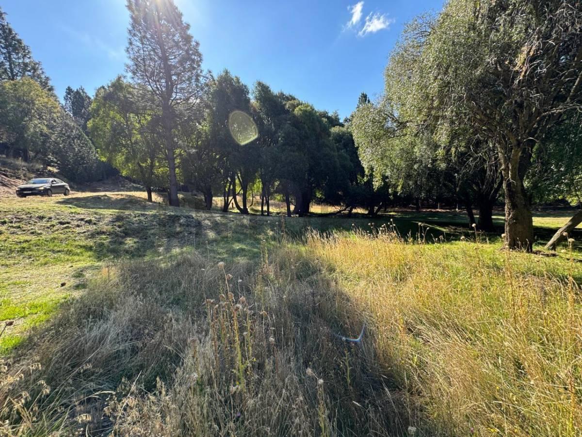 Foto de OPORTUNIDAD - VENTA LOTE BARRIO QUILLEHUE LAGO HUECHULAFQUEN SAN MARTIN, imagen 3