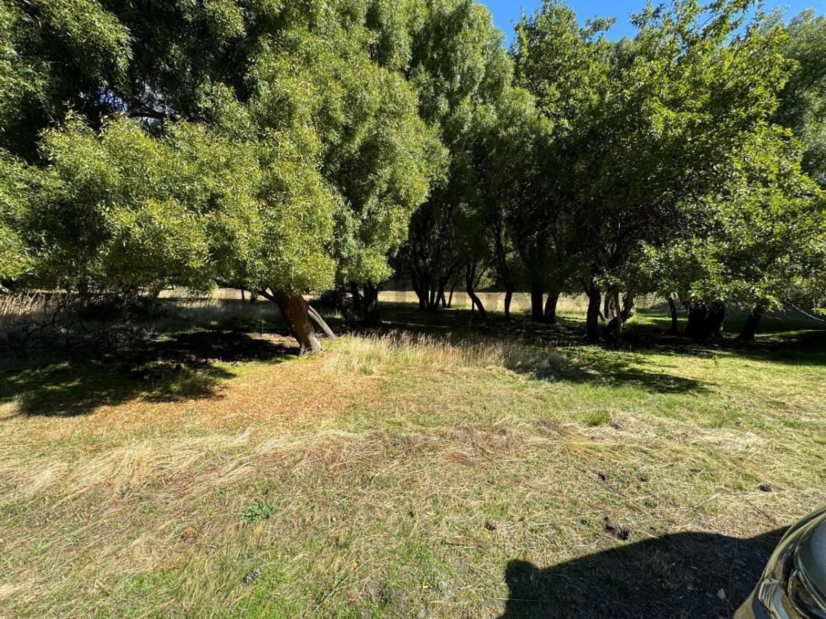 Foto de OPORTUNIDAD - VENTA LOTE BARRIO QUILLEHUE LAGO HUECHULAFQUEN SAN MARTIN, imagen 5