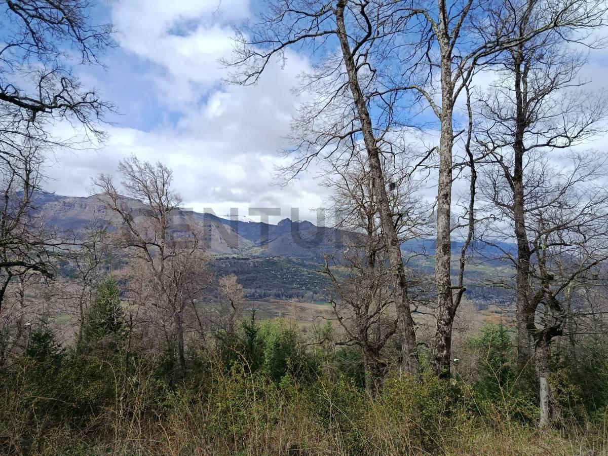 Foto de VENTA LOTE SAN MARTIN DE LOS ANDES. BARRIO LAS VERTIENTES, imagen 1