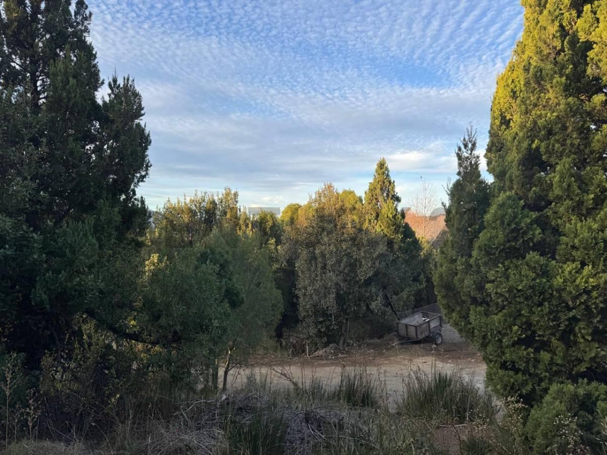 Foto de VENTA TERRENO SAN MARTIN DE LOS ANDES. ZONA LOS RISCOS , LOS CHARITOS, imagen 3