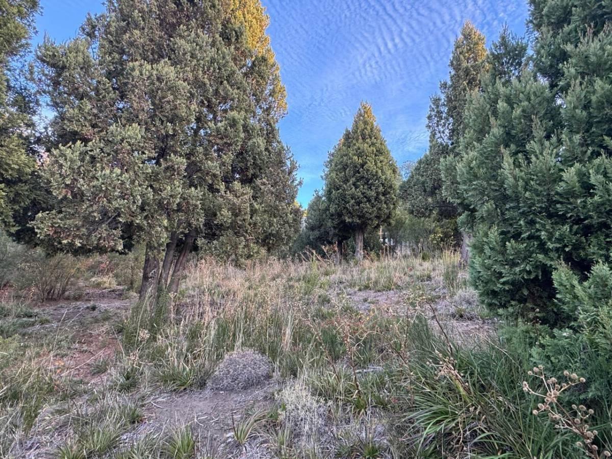 Foto de VENTA TERRENO SAN MARTIN DE LOS ANDES. ZONA LOS RISCOS , LOS CHARITOS, imagen 4