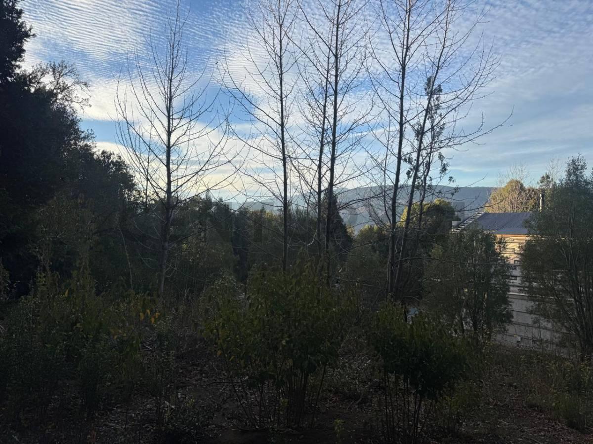 Foto de VENTA TERRENO SAN MARTIN DE LOS ANDES. ZONA LOS RISCOS , LOS CHARITOS, imagen 5