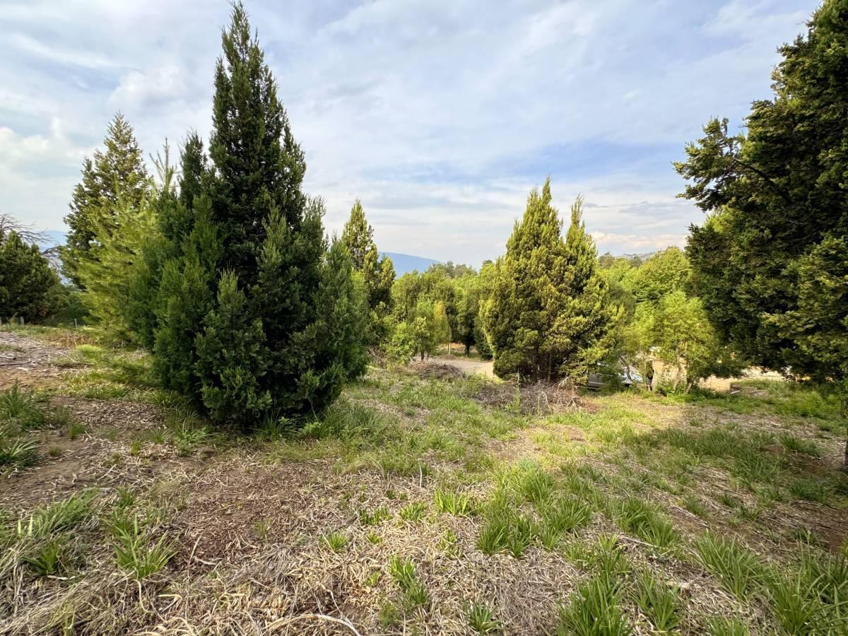 Foto de VENTA TERRENO SAN MARTIN DE LOS ANDES. ZONA LOS RISCOS , LOS CHARITOS, imagen 2
