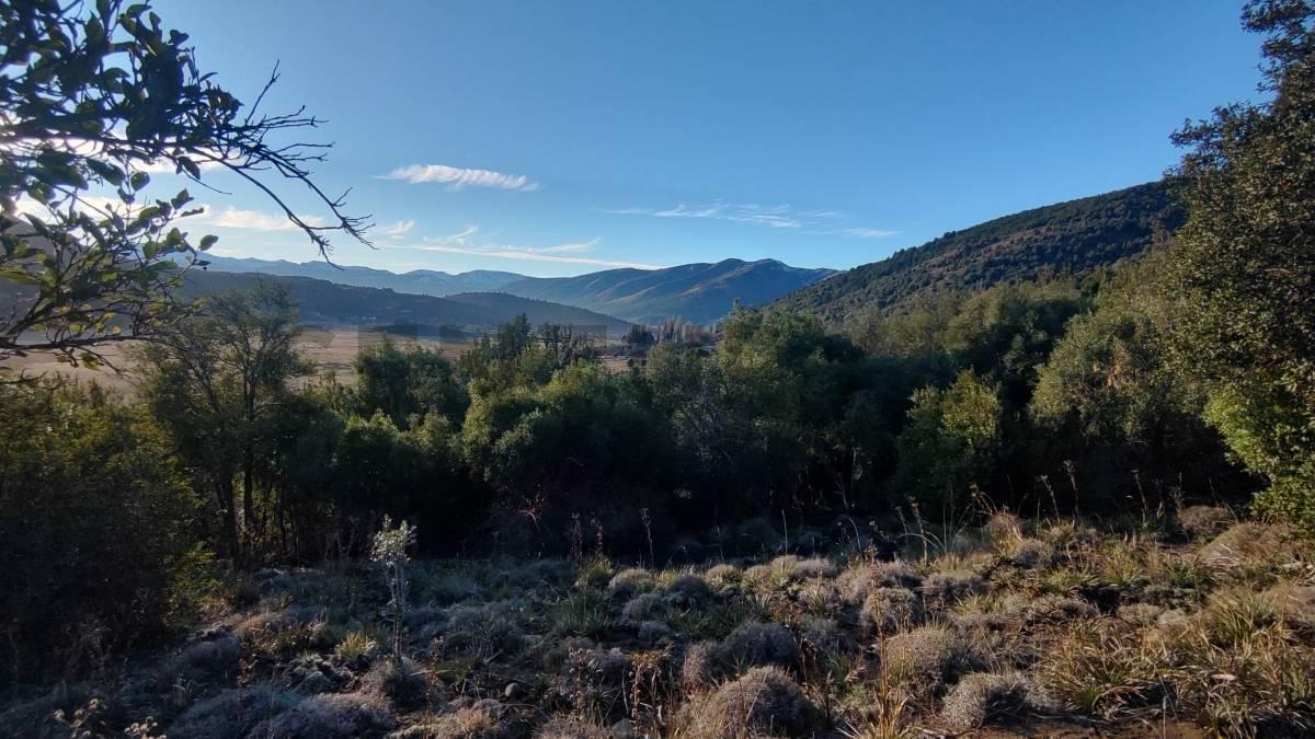 Foto de VENTA LOTE EN SAN MARTIN DE LOS ANDES - LOTEO DEL VALLE ESCONDIDO, imagen 3