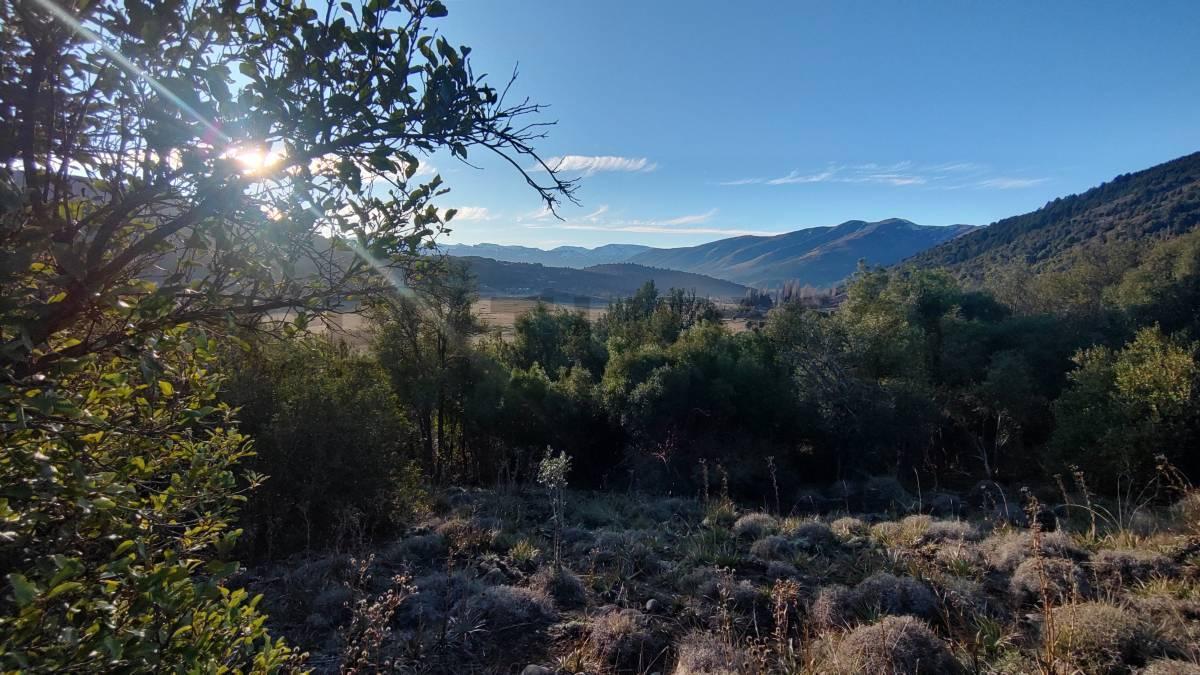 Foto de VENTA LOTE EN SAN MARTIN DE LOS ANDES - LOTEO DEL VALLE ESCONDIDO, imagen 4