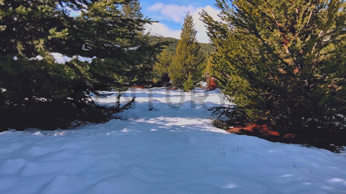 Foto de LOTE EN VENTA VILLA LAGO MELIQUINA - SAN MARTIN DE LOS ANDES, imagen 1
