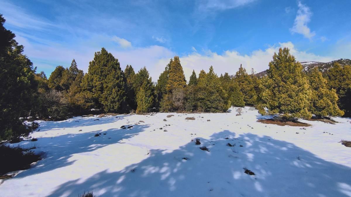 Foto de VENTA TERRENO PENINSULA MELIQUINA - SAN MARTIN DE LOS ANDES, imagen 1