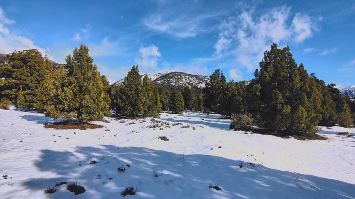 Foto de VENTA TERRENO PENINSULA MELIQUINA - SAN MARTIN DE LOS ANDES, imagen 5