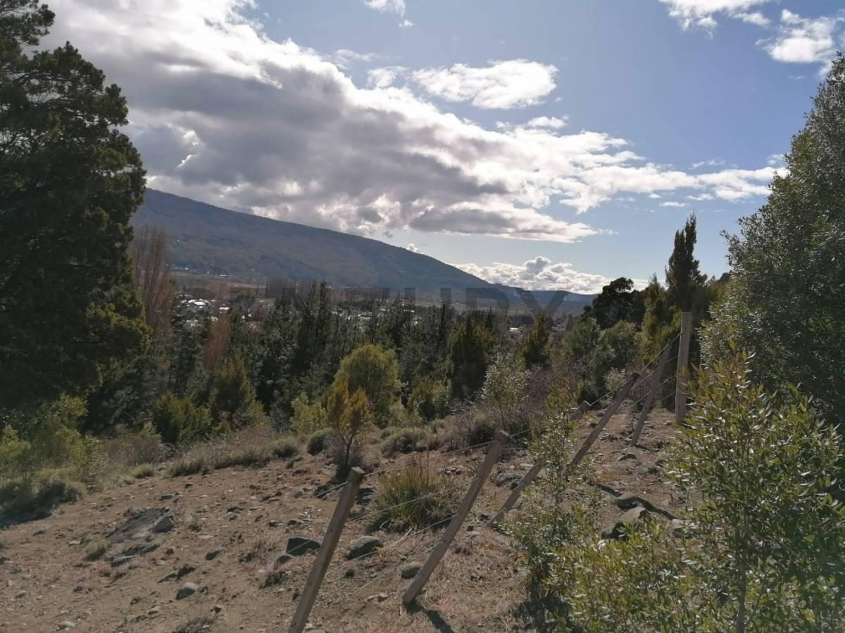 Foto de VENTA - 2 LOTES EN MONTAÑA - SAN MARTIN DE LOS ANDES. BARRIO LOS RISCOS, imagen 2