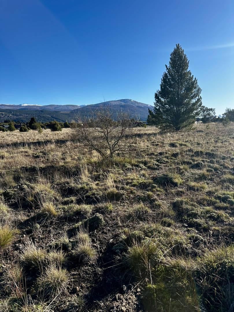 Foto de VENTA LOTE SAN MARTIN DE LOS ANDES . VILLA RIO QUILQUIHUE ., imagen 5