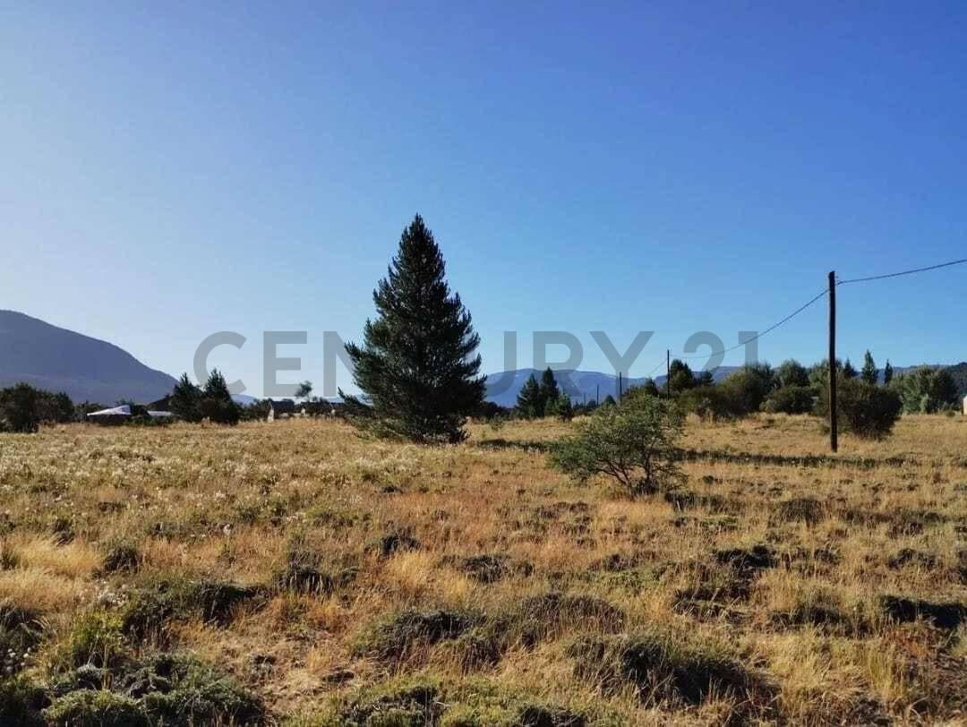 Foto de VENTA LOTE SAN MARTIN DE LOS ANDES . VILLA RIO QUILQUIHUE ., imagen 2