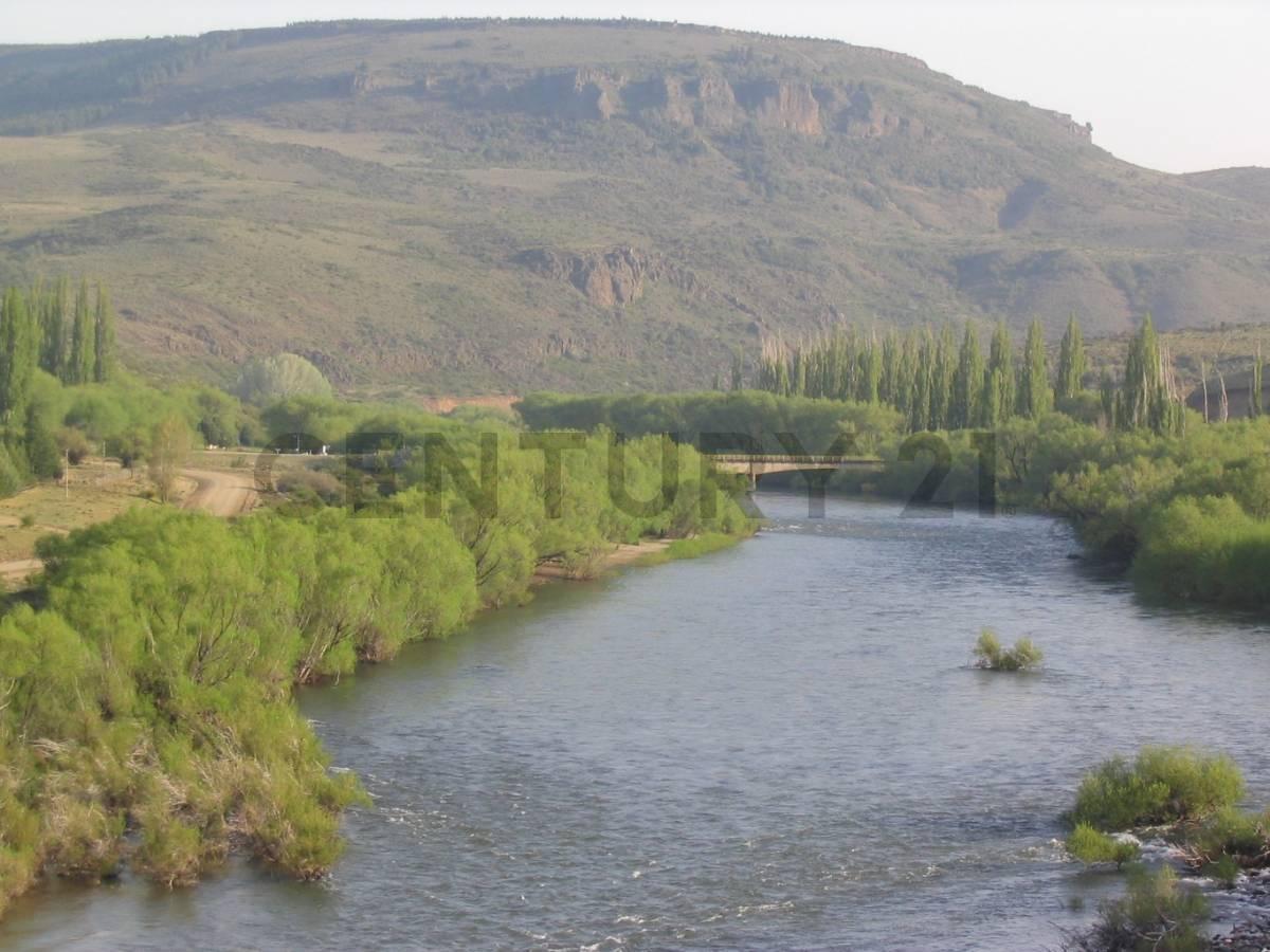 Foto de VENTA CAMPO 4 HECTAREAS C/2 RIOS en ALUMIÉ-SAN MARTIN DE LOS ANDES, imagen 4