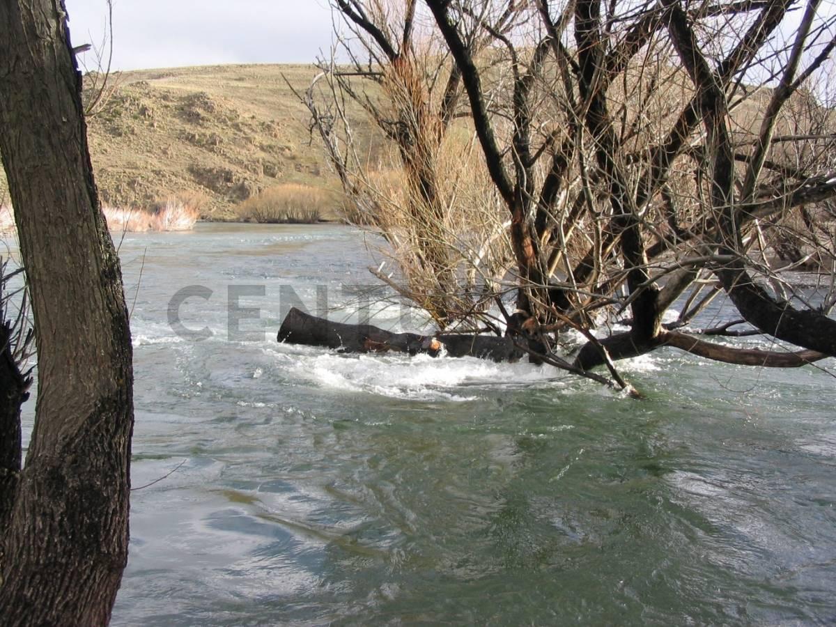 Foto de VENTA CAMPO 4 HECTAREAS C/2 RIOS en ALUMIÉ-SAN MARTIN DE LOS ANDES, imagen 2