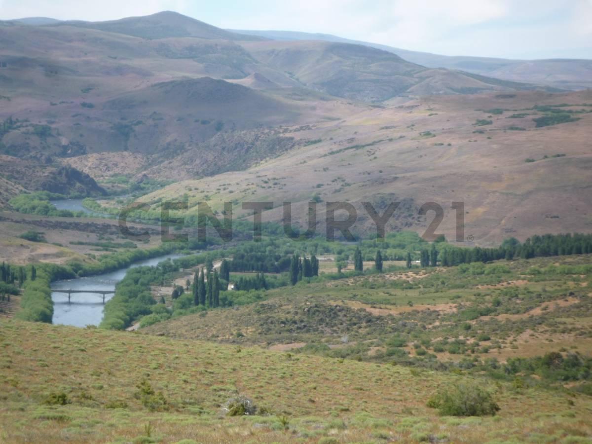 Foto de VENTA CAMPO 4 HECTAREAS C/2 RIOS en ALUMIÉ-SAN MARTIN DE LOS ANDES, imagen 1