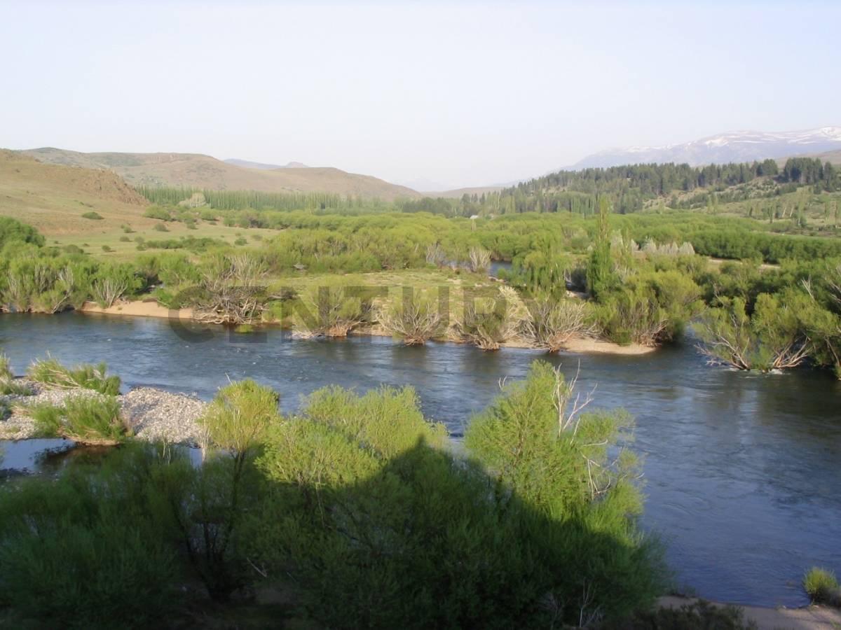 Foto de VENTA CAMPO 4 HECTAREAS C/2 RIOS en ALUMIÉ-SAN MARTIN DE LOS ANDES, imagen 3