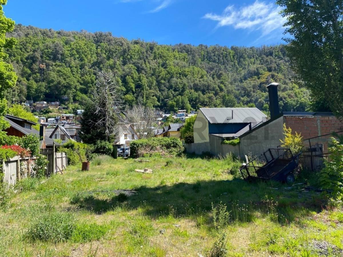 Foto de VENTA LOTE COMERCIAL SAN MARTIN DE LOS ANDES, CASCO CENTRICO, imagen 2