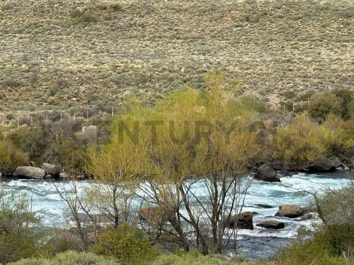 Foto de VENTA LOTE RIO CHIMEHUIN . CON ACCESO DIRECTO AL RIO Y VISTAS AL VOLCAN, imagen 2