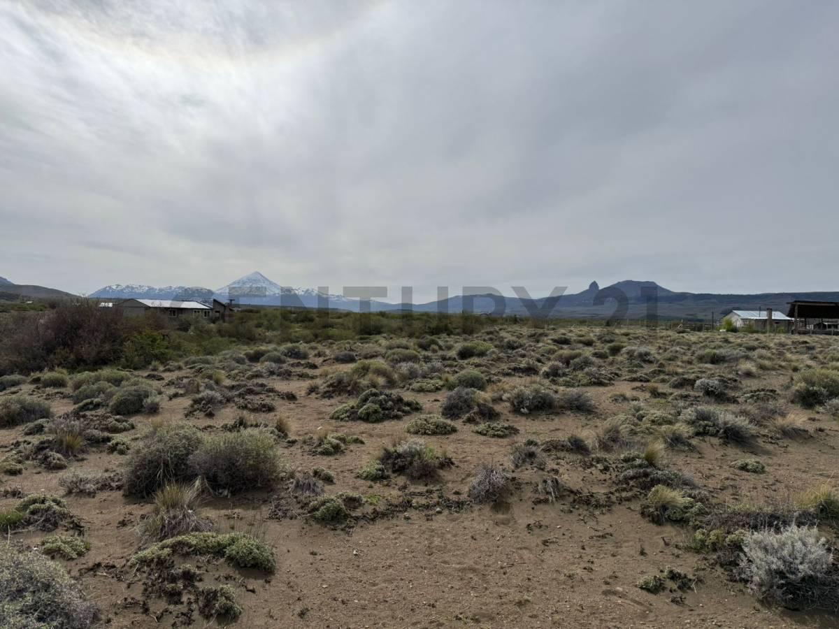 Foto de VENTA LOTE RIO CHIMEHUIN . CON ACCESO DIRECTO AL RIO Y VISTAS AL VOLCAN, imagen 4