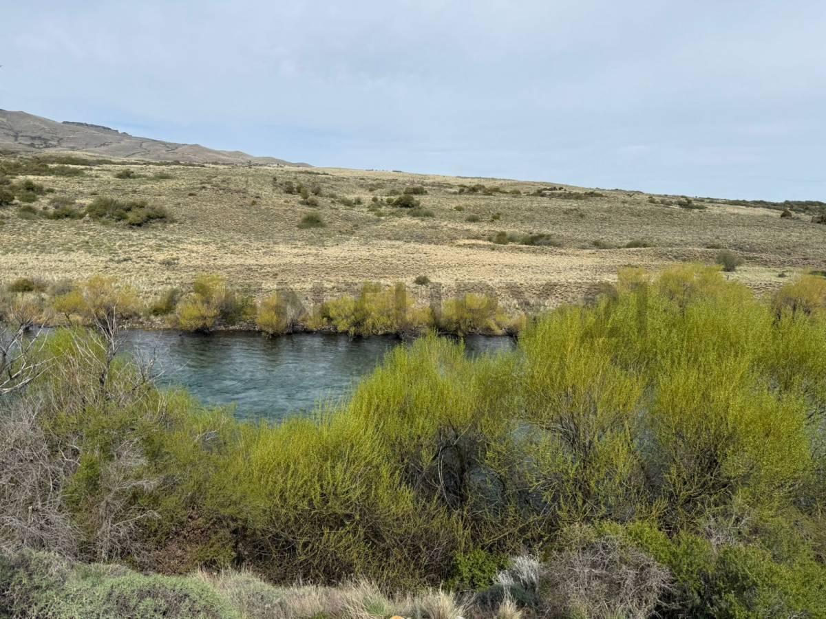 Foto de VENTA LOTE RIO CHIMEHUIN . CON ACCESO DIRECTO AL RIO Y VISTAS AL VOLCAN, imagen 1