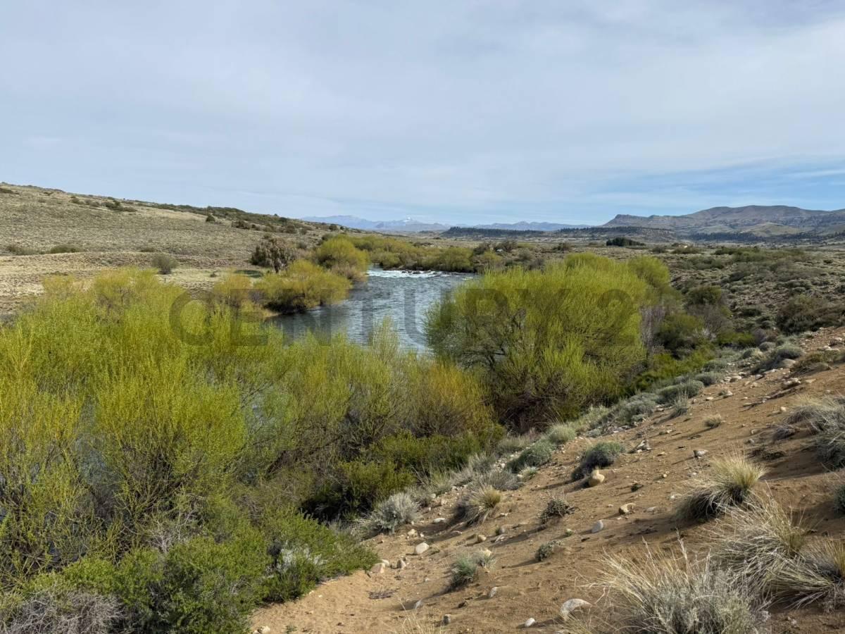 Foto de VENTA LOTE RIO CHIMEHUIN . CON ACCESO DIRECTO AL RIO Y VISTAS AL VOLCAN, imagen 5