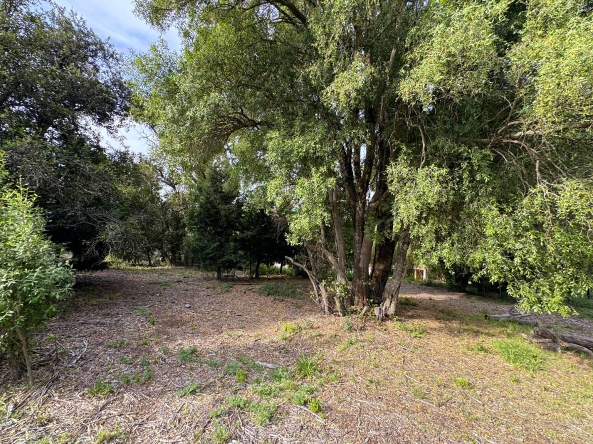 Foto de VENTA TERRENO SAN MARTIN DE LOS ANDES . LOS RISCOS, imagen 5